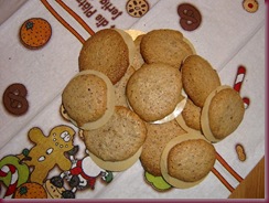 Weihnachtsplätzen 2010 025